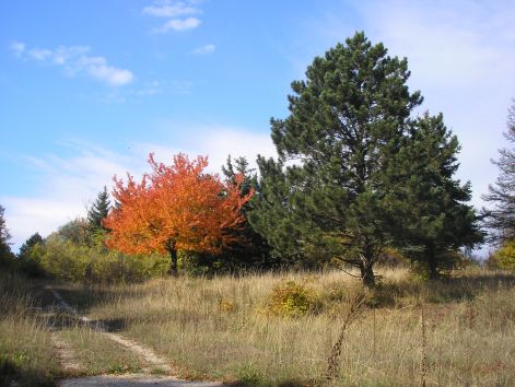 02-pa123042.jpg 02-pa123042.jpg