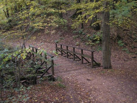 02-pa143071.jpg 02-pa143071.jpg