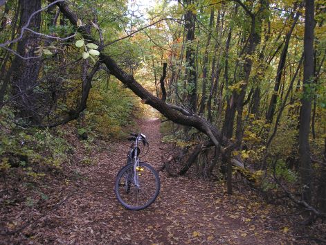 03-pa143072.jpg 03-pa143072.jpg