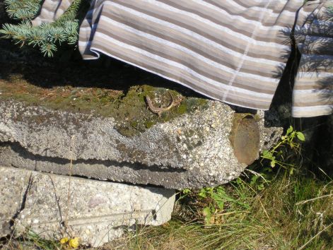 05-pa123047.jpg 05-pa123047.jpg