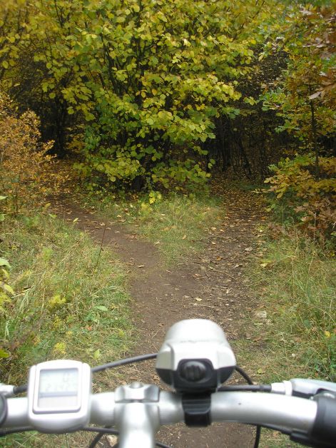 05-pa143077.jpg 05-pa143077.jpg