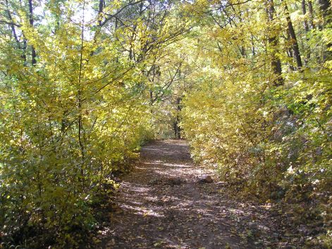 06-pa123049.jpg 06-pa123049.jpg