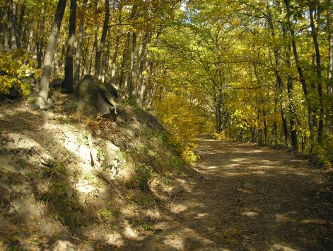 07-pa123050.jpg 07-pa123050.jpg