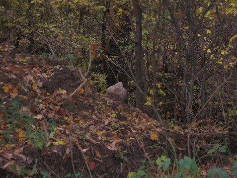 08-pa143081.jpg 08-pa143081.jpg