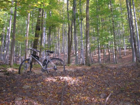 09-pa123056.jpg 09-pa123056.jpg