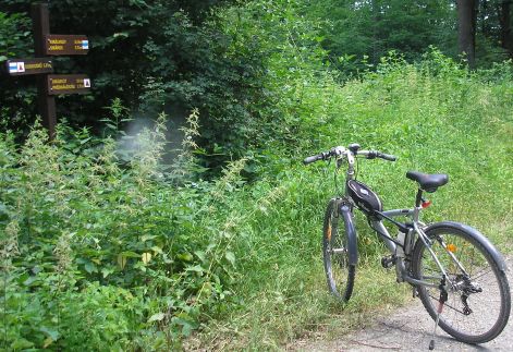 1-1_p6192229.jpg 1-1_p6192229.jpg