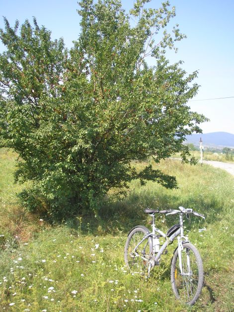 1-p7102440.jpg 1-p7102440.jpg