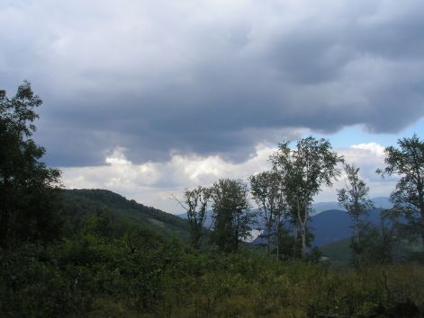 1-p7122464.jpg 1-p7122464.jpg