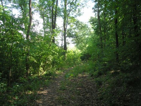 1-p7172494.jpg 1-p7172494.jpg