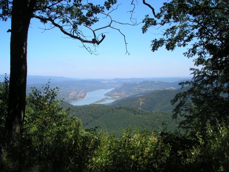 1-p8022602.jpg 1-p8022602.jpg