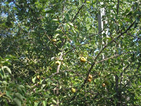 1-p9072852.jpg 1-p9072852.jpg