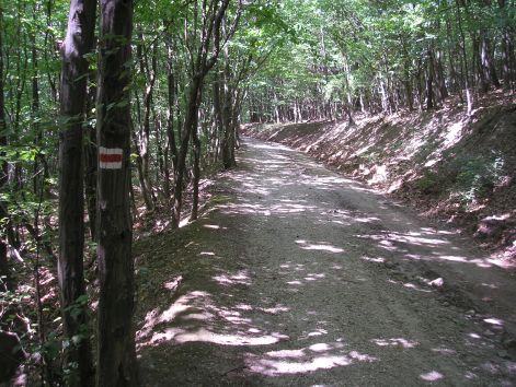 1._piros_jelzesen.jpg 1._piros_jelzesen.jpg