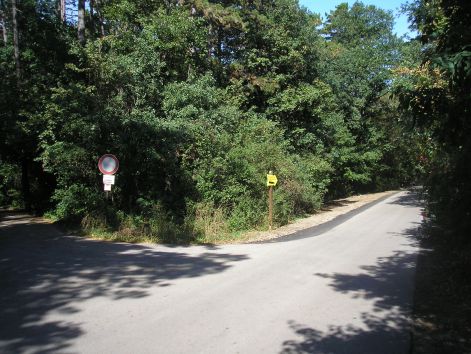 1.a_vadasparknal.jpg 1.a_vadasparknal.jpg