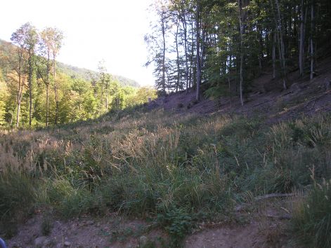 1.izbegtol_a_pap_ret_fele.jpg 1.izbegtol_a_pap_ret_fele.jpg