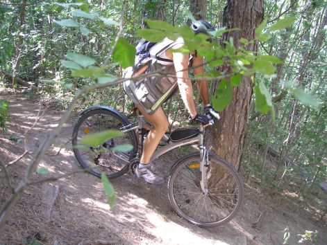 1.lejt_menet.jpg 1.lejt_menet.jpg