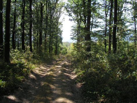 1.terep_is_volt.jpg 1.terep_is_volt.jpg