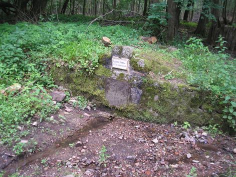 10-p6282297.jpg 10-p6282297.jpg