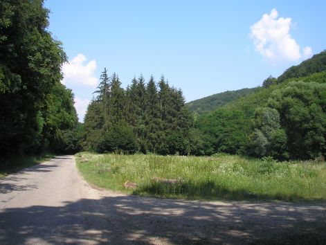 10-p7102456.jpg 10-p7102456.jpg