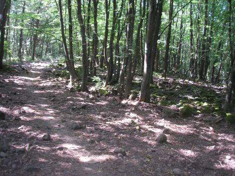 10-p7172512.jpg 10-p7172512.jpg