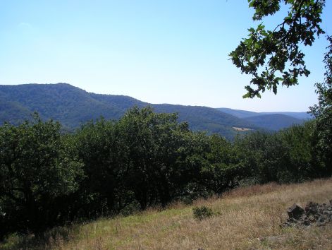 10-p7222564.jpg 10-p7222564.jpg