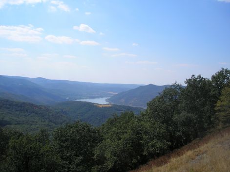 10-p8162691.jpg 10-p8162691.jpg