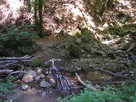 10-p9042814.jpg 10-p9042814.jpg