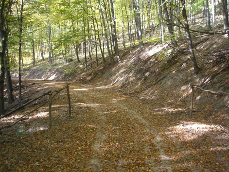 10-pa123057.jpg 10-pa123057.jpg