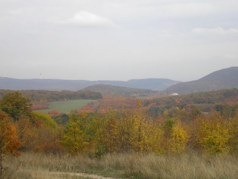 10-pa143083.jpg 10-pa143083.jpg