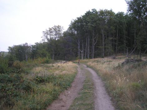 10._szembol_is.jpg 10._szembol_is.jpg