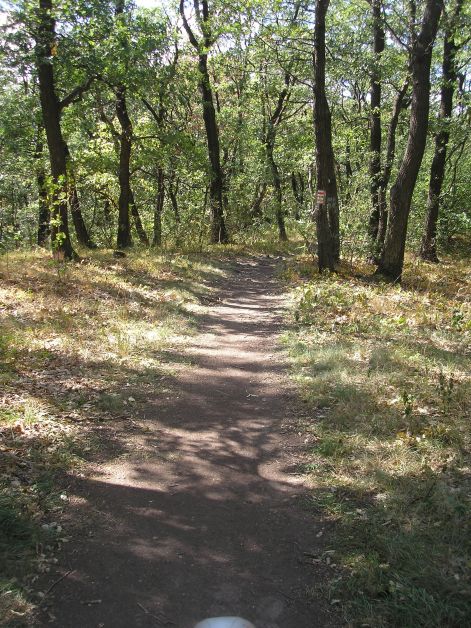 10.a_kezdet_lefee.jpg 10.a_kezdet_lefee.jpg