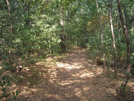 10.nyugis_ut.jpg 10.nyugis_ut.jpg