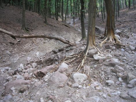 10.vizmosas.jpg 10.vizmosas.jpg