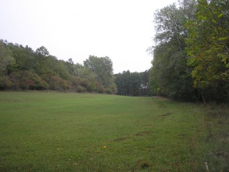 10_erdo-mezo.jpg 10_erdo-mezo.jpg