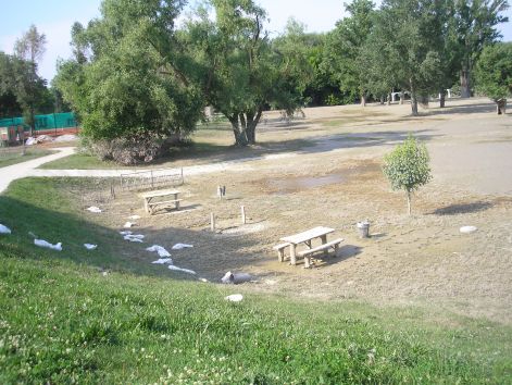 10_p6192243.jpg 10_p6192243.jpg