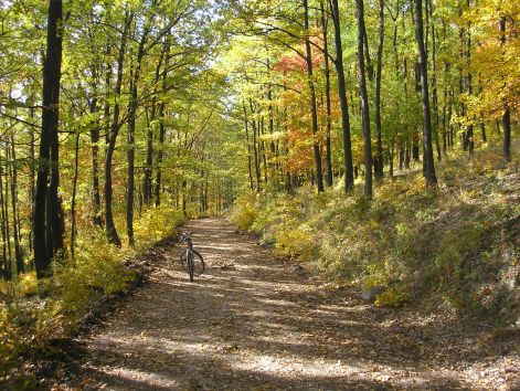 11-1-pa123054.jpg 11-1-pa123054.jpg