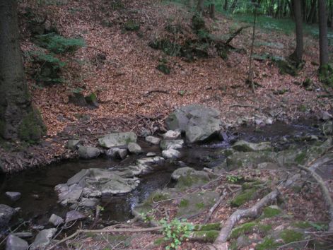 11-p6282304.jpg 11-p6282304.jpg