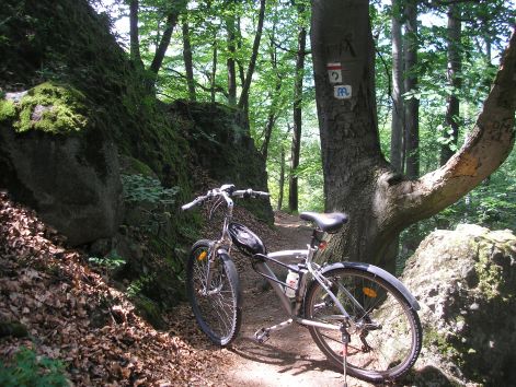 11-p7032384.jpg 11-p7032384.jpg