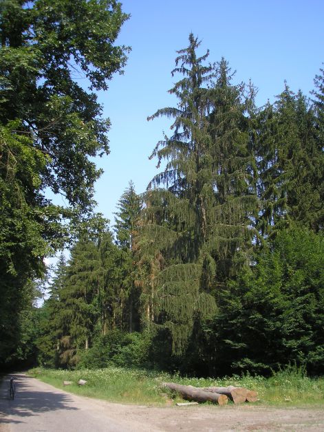 11-p7102460.jpg 11-p7102460.jpg