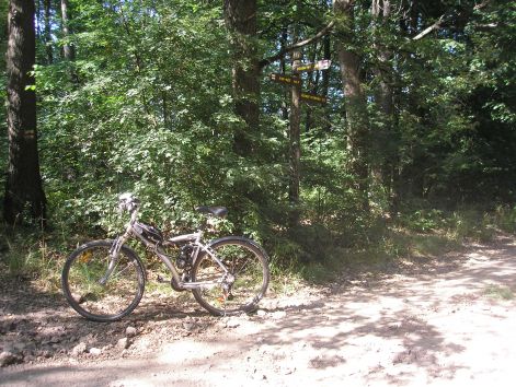 11-p7172515.jpg 11-p7172515.jpg