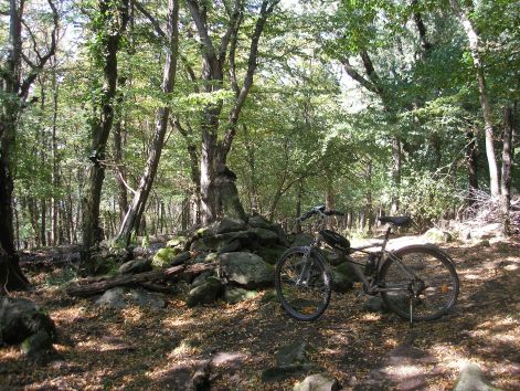 11-p8162692.jpg 11-p8162692.jpg