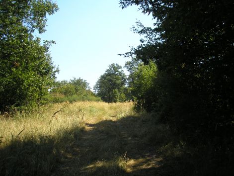 11-p8172726.jpg 11-p8172726.jpg