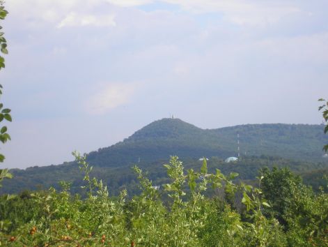 11-p8302770.jpg 11-p8302770.jpg