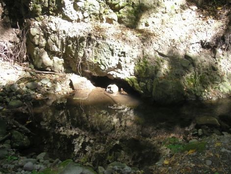 11-p9042818.jpg 11-p9042818.jpg