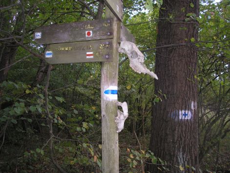 11-pa013017.jpg 11-pa013017.jpg