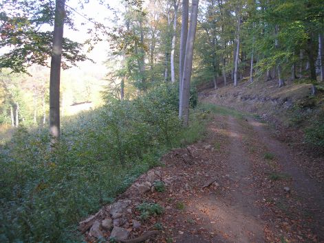 11-pa123058.jpg 11-pa123058.jpg