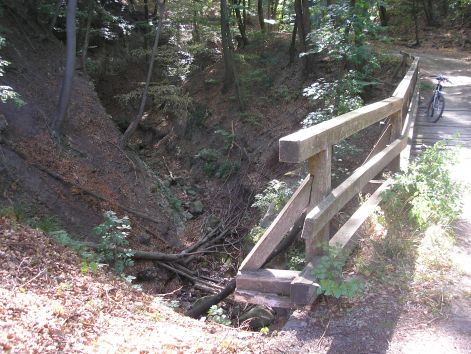 11._patak_meder.jpg 11._patak_meder.jpg