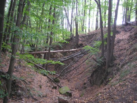 11.kalandozzunk.jpg 11.kalandozzunk.jpg