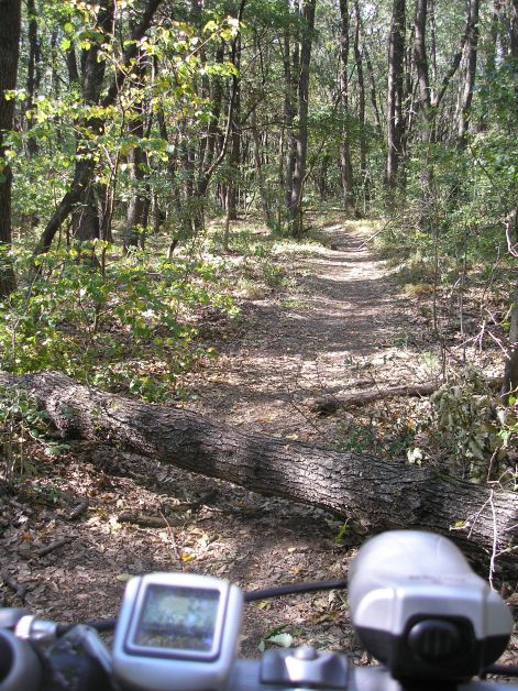 11.kisebb_akadaly.jpg 11.kisebb_akadaly.jpg