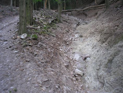 11.sodros.jpg 11.sodros.jpg