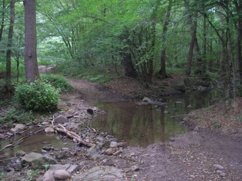 12-1p6282307.jpg 12-1p6282307.jpg